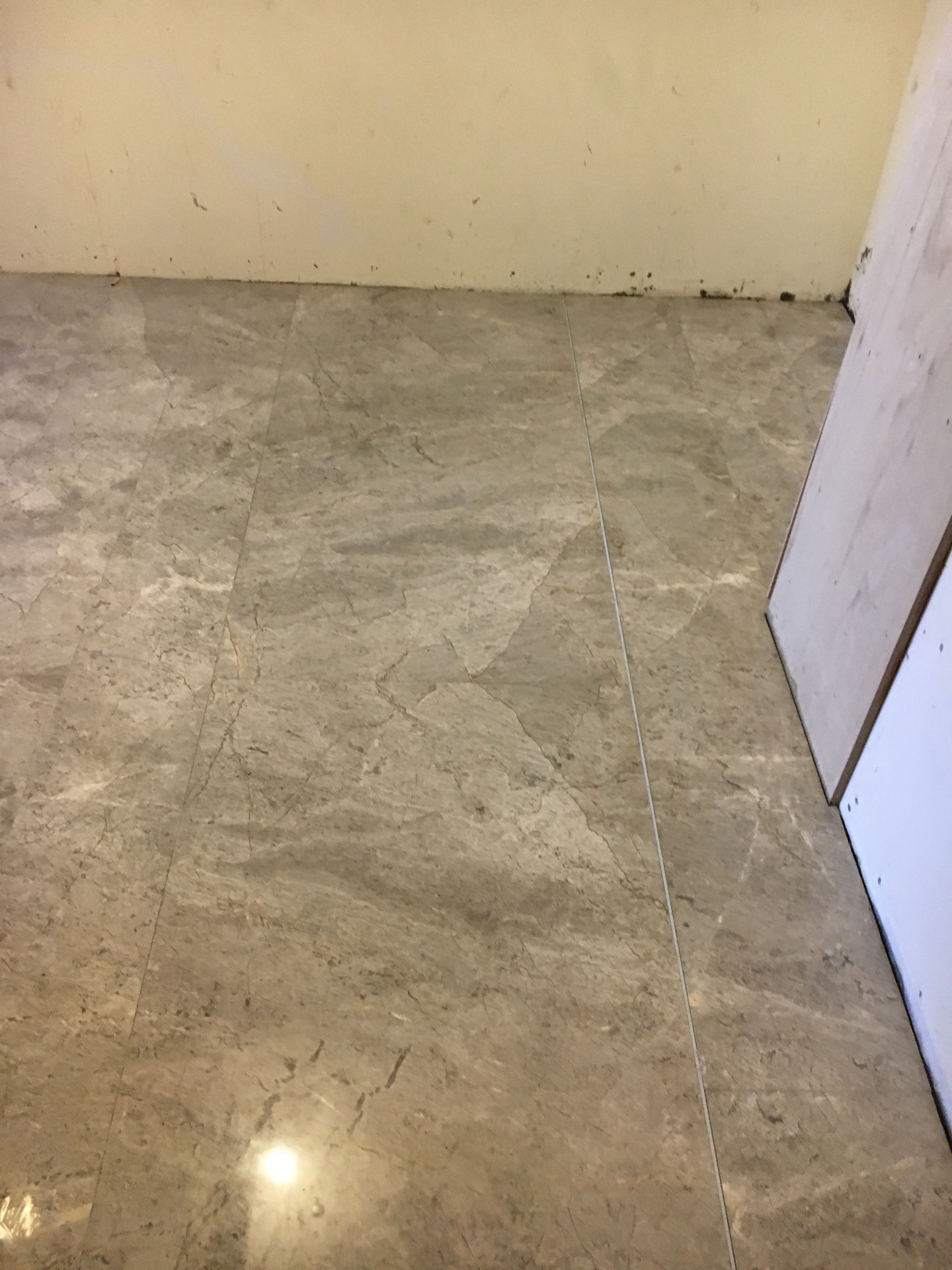 安格拉珍珠-玄關地坪