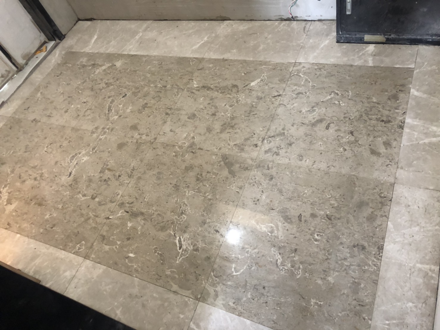 主體花蝴蝶+滾邊杜布尼克灰-玄關地坪