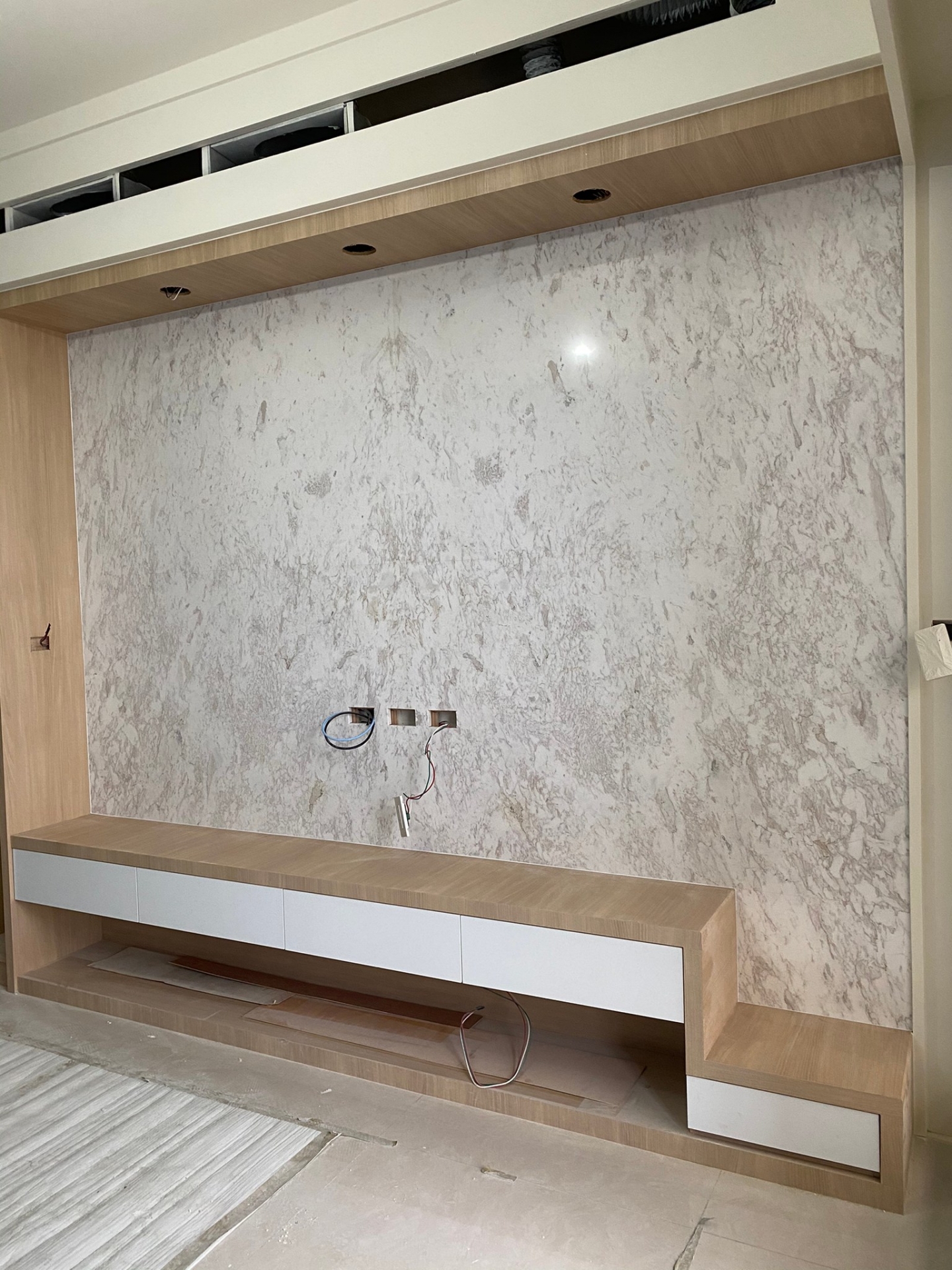 雪花銀狐-電視牆