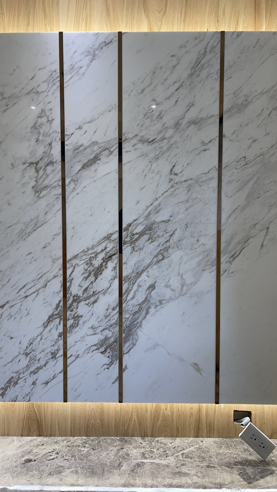 白底銀狐-電視牆