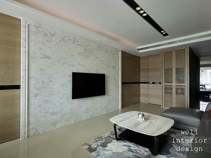 雪花銀狐-電視牆