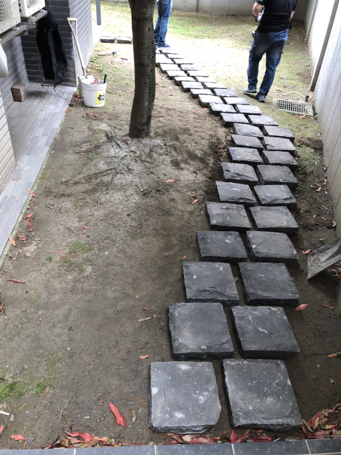 福鼎黑-走廊步道