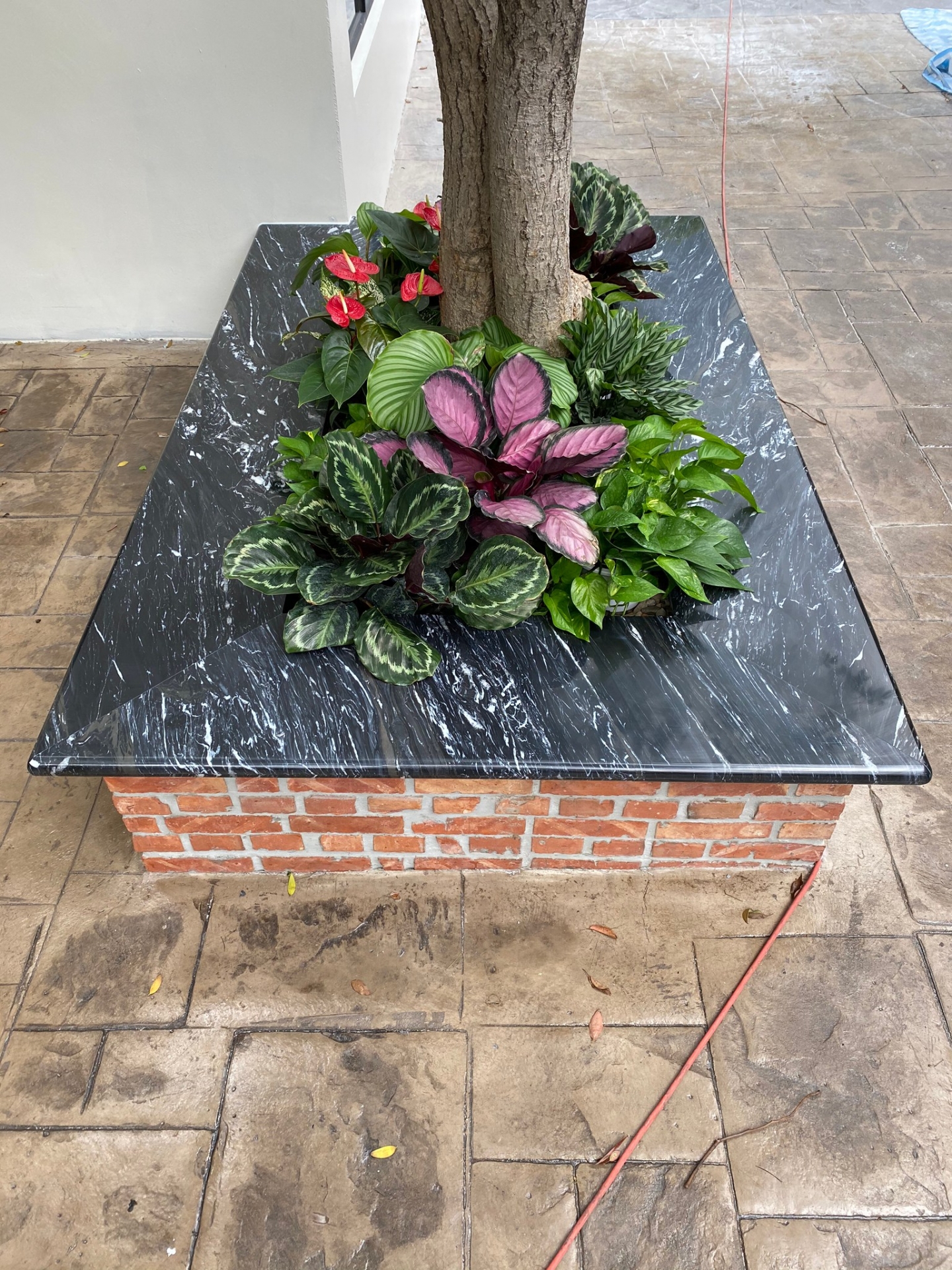 黑部立山-花圃檯面