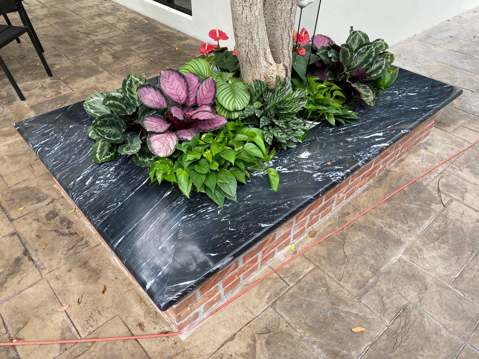 黑部立山-花圃檯面