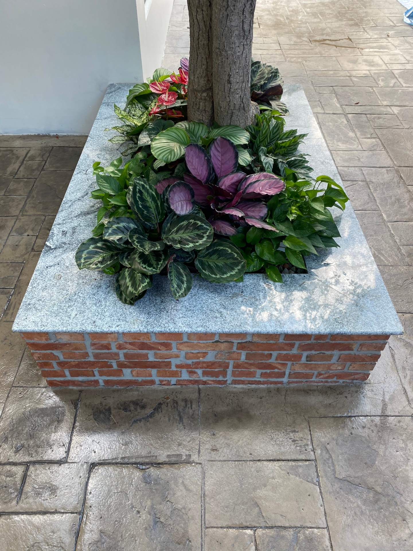 浮生若夢-花圃檯面