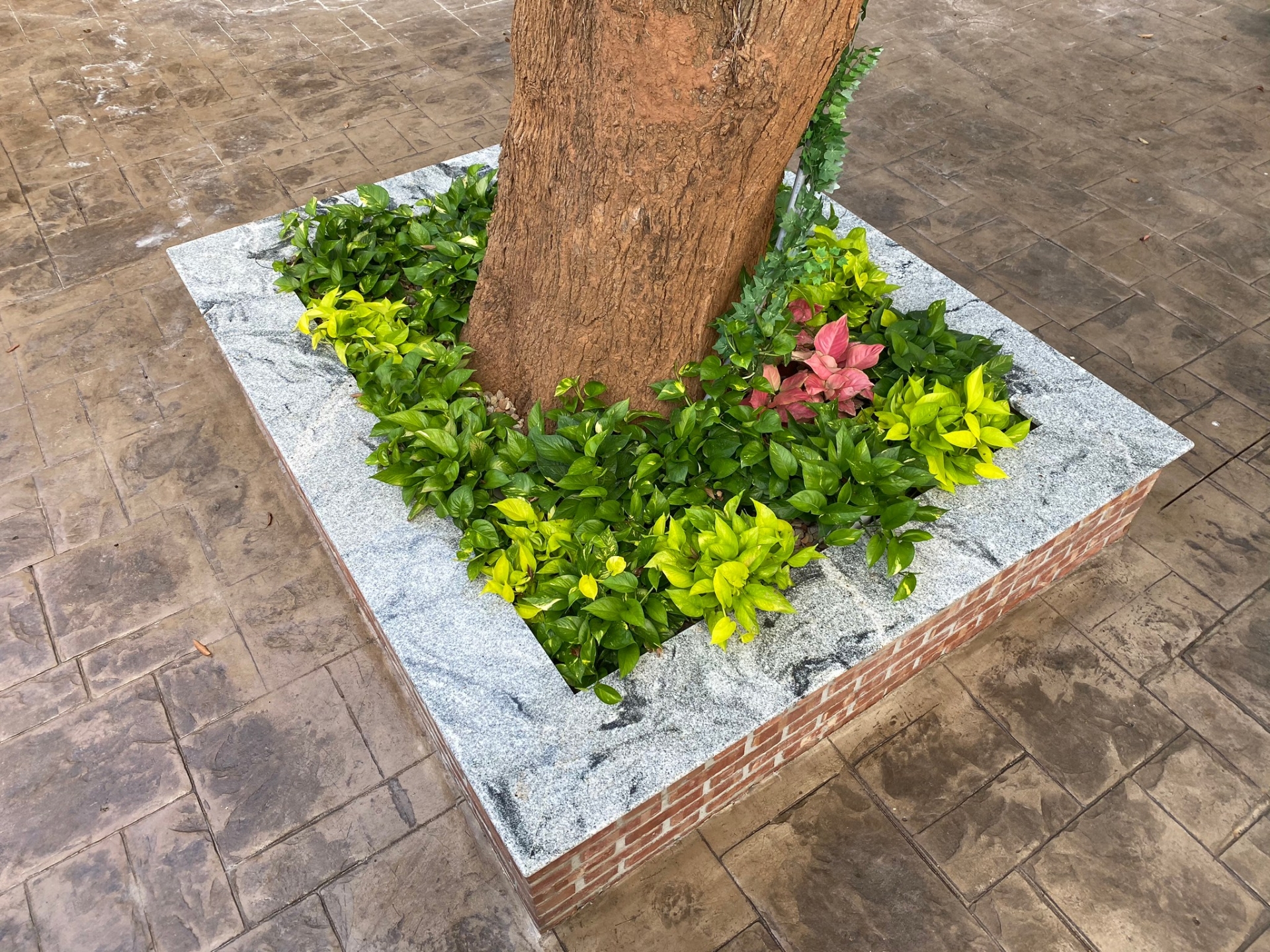 浮生若夢-花圃檯面