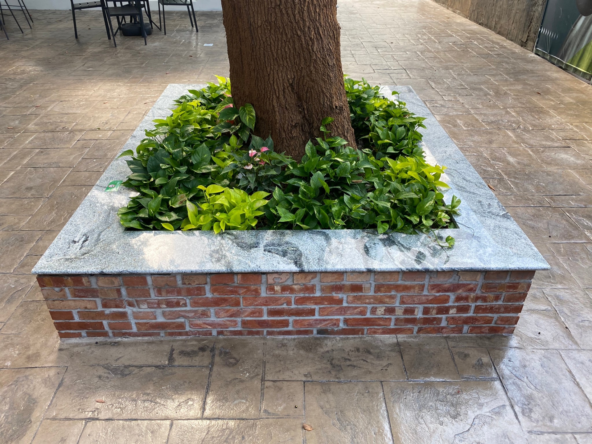 浮生若夢-花圃檯面