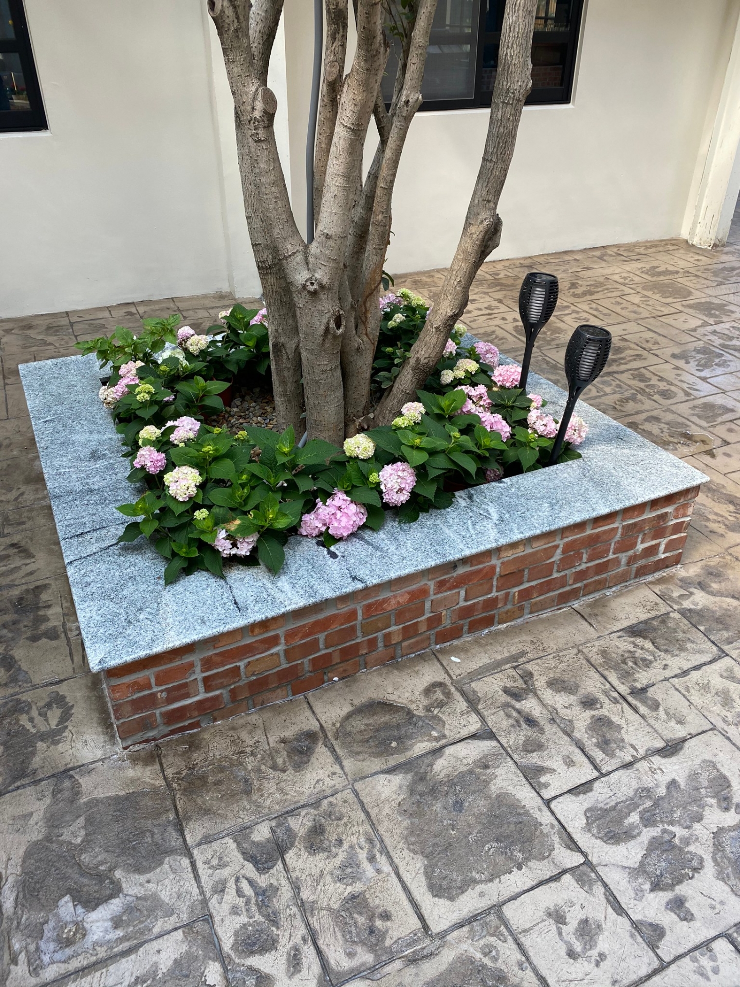 浮生若夢-花圃檯面