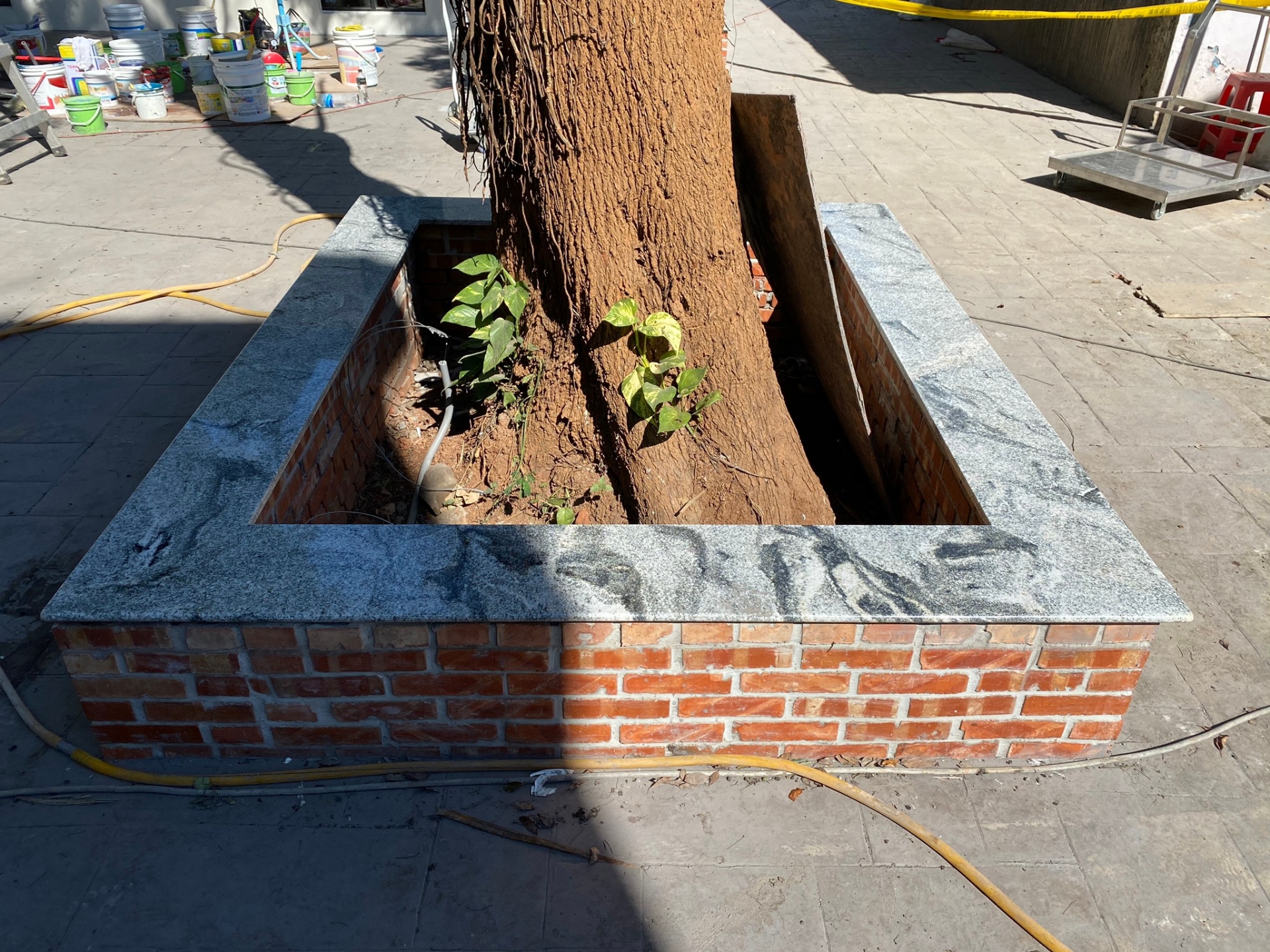 浮生若夢-花圃檯面