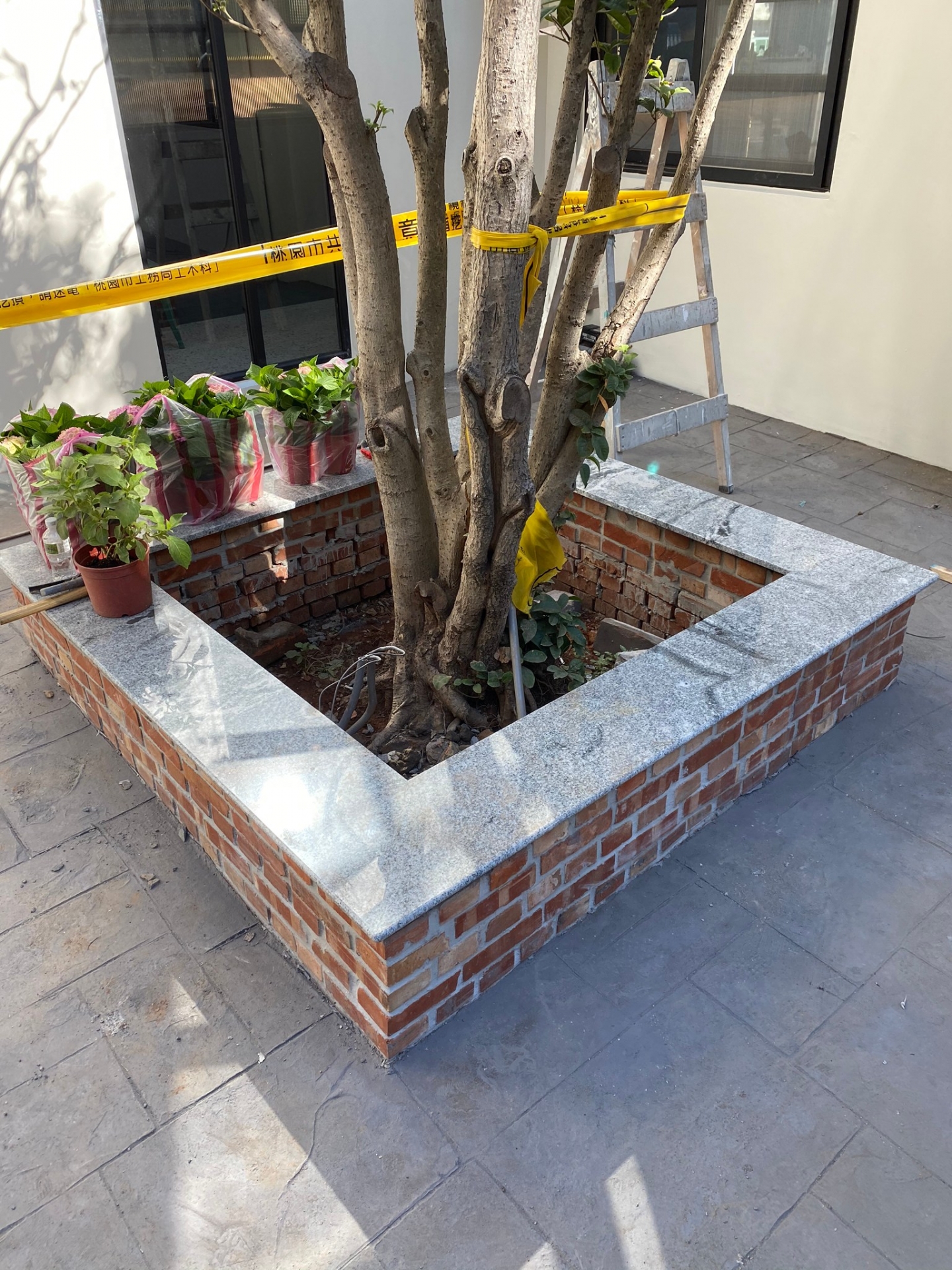 浮生若夢-花圃檯面