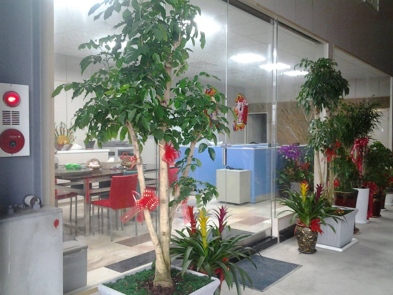 石羽石材有限公司全新官方網站正式上線